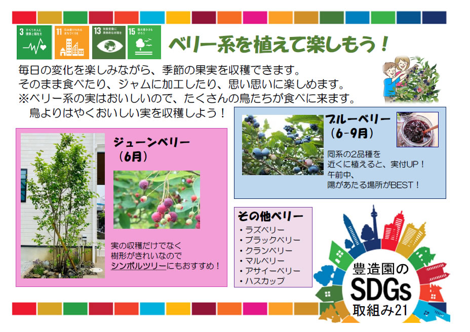 ベリー系を植えて楽しもう！
