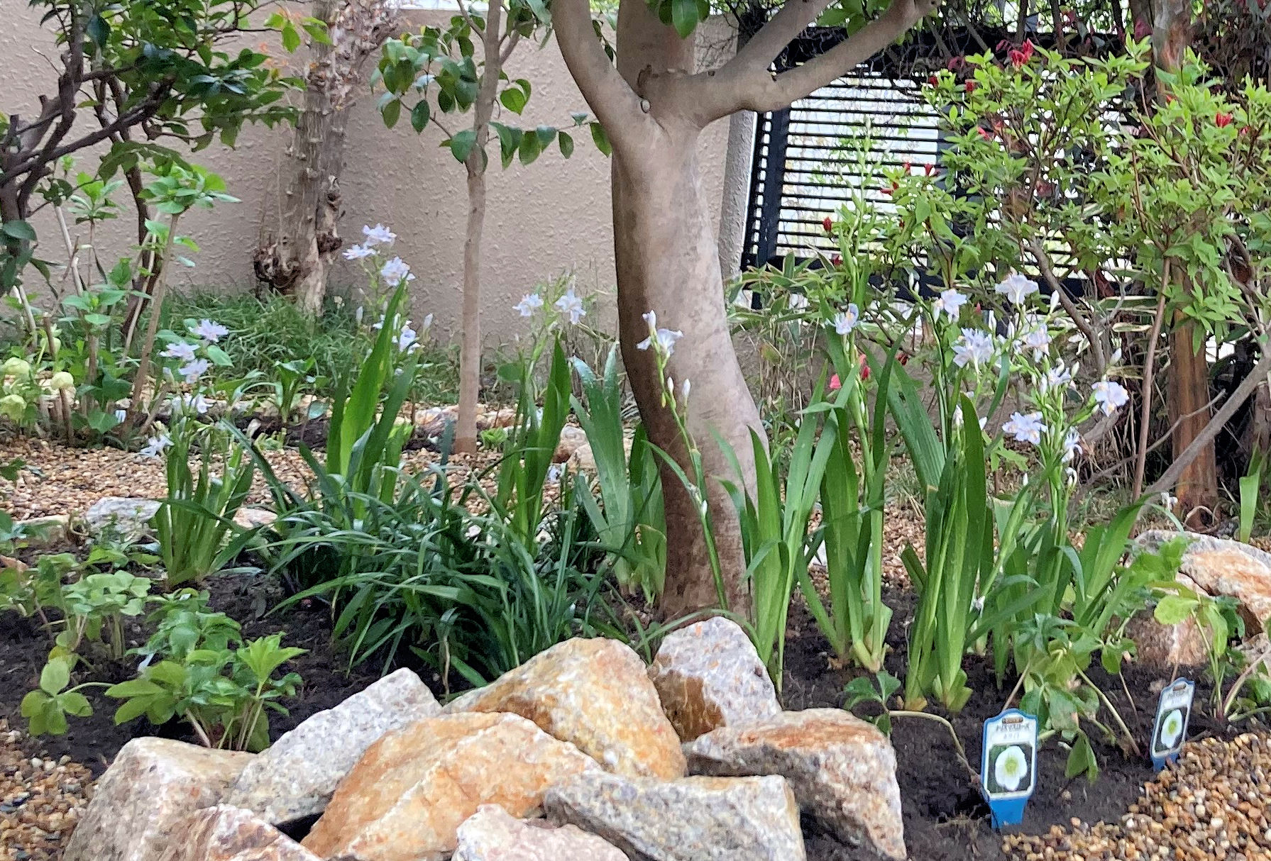 ＜秋～冬＞の写真