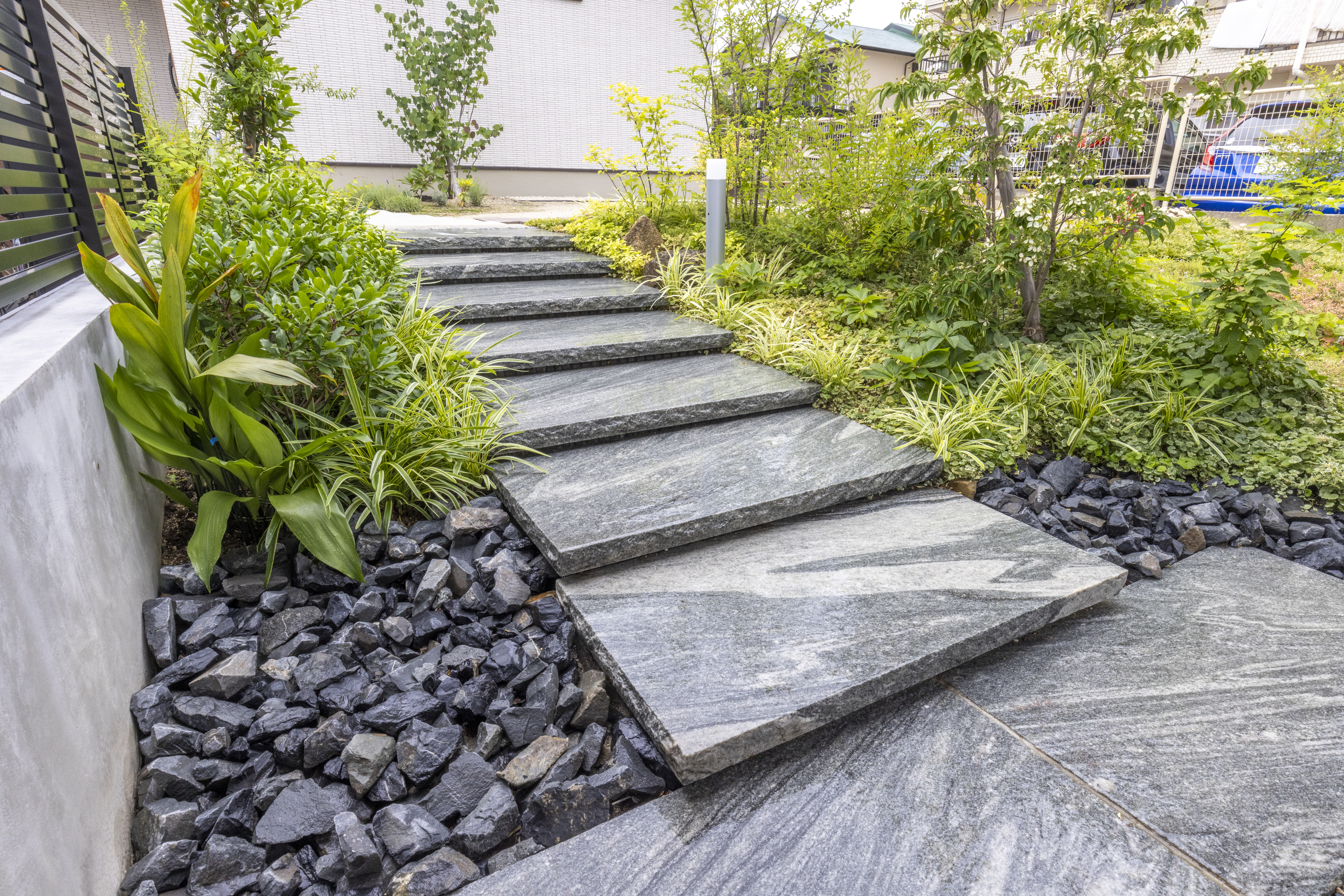 雑木林をくぐるイメージの写真