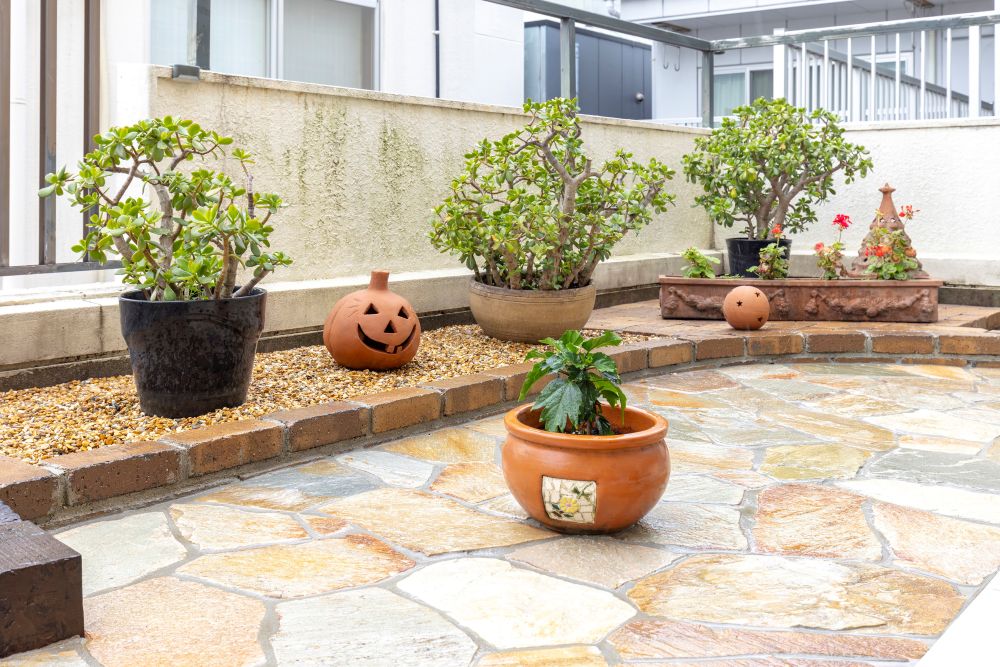 西エリアの写真