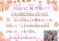 川沿いには桜が多い？