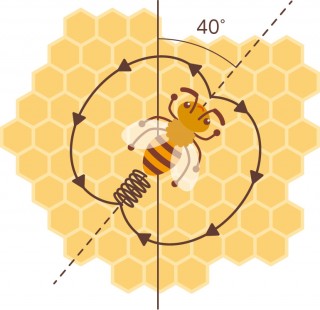 働きもののミツバチ