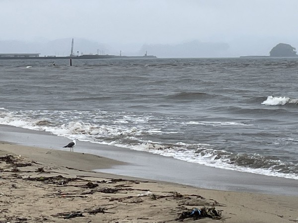 釣り大会　in　富山