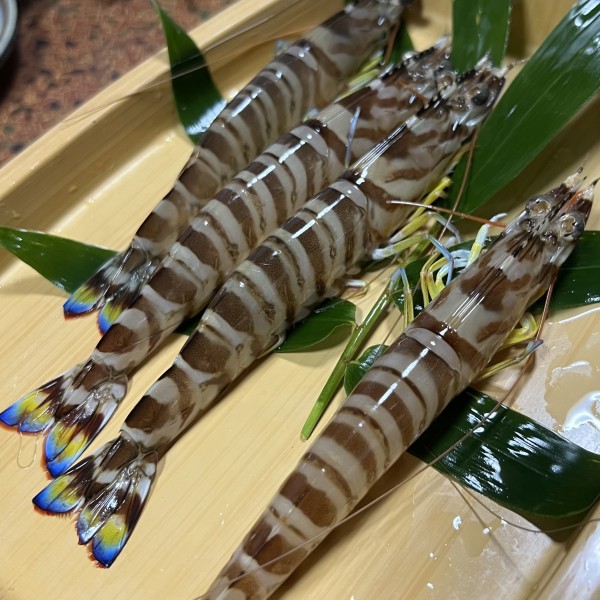 釣り大会　日間賀島