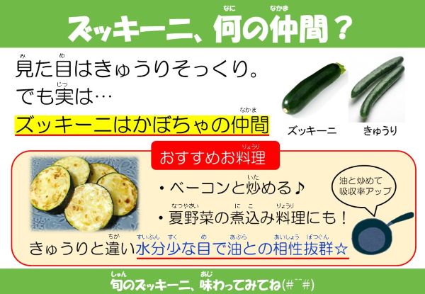 ズッキーニ、何の仲間？
