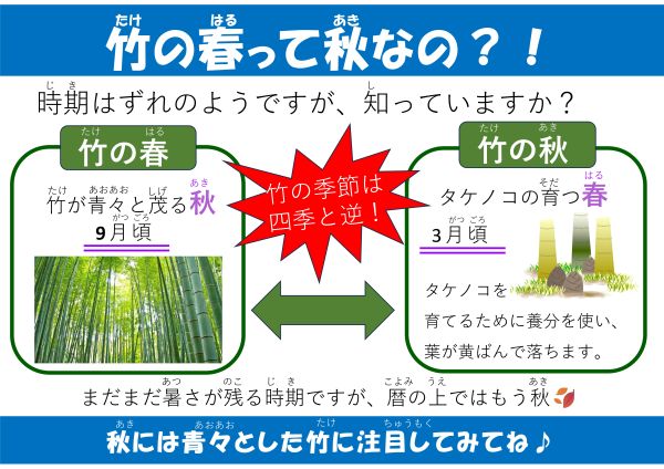 竹の春って秋なの？！