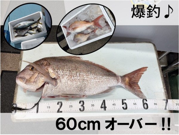 釣り旅行